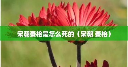 宋朝秦桧是怎么死的（宋朝 秦桧）