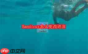 Bandicut如何更改语言