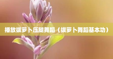 播放拔萝卜压腿舞蹈（拔萝卜舞蹈基本功）