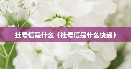 挂号信是什么（挂号信是什么快递）