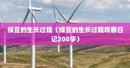 绿豆的生长过程（绿豆的生长过程观察日记200字）