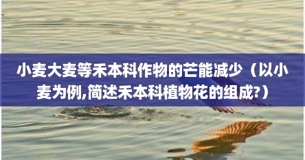 小麦大麦等禾本科作物的芒能减少（以小麦为例,简述禾本科植物花的组成?）