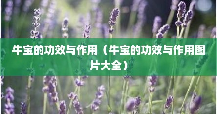 牛宝的功效与作用（牛宝的功效与作用图片大全）
