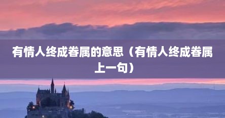 有情人终成眷属的意思（有情人终成眷属 上一句）