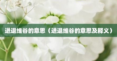 进退维谷的意思(进退维谷的意思及释义)