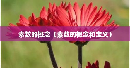 素数的概念(素数的概念和定义)