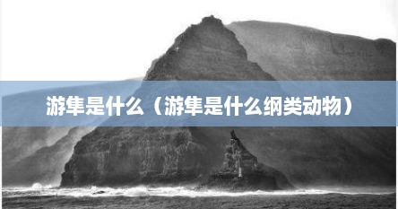 游隼是什么(游隼是什么纲类动物)