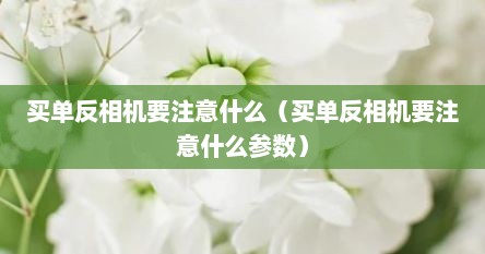 买单反相机要注意什么（买单反相机要注意什么参数）
