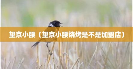 望京小腰(望京小腰烧烤是不是加盟店)
