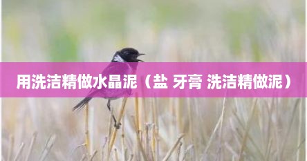用洗洁精做水晶泥(盐 牙膏 洗洁精做泥)