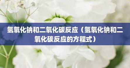 氢氧化钠和二氧化碳反应(氢氧化钠和二氧化碳反应的方程式)