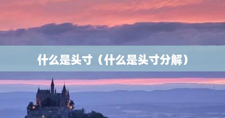 什么是头寸(什么是头寸分解)