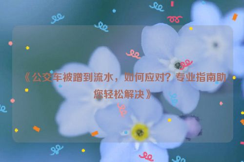《公交车被蹭到流水,如何应对?专业指南助您轻松解决》