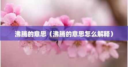 沸腾的意思(沸腾的意思怎么解释)