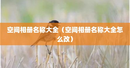 空间相册名称大全(空间相册名称大全怎么改)