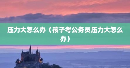 压力大怎么办(孩子考公务员压力大怎么办)