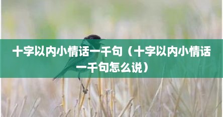 十字以内小情话一千句(十字以内小情话一千句怎么说)