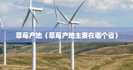 草莓产地(草莓产地主要在哪个省)