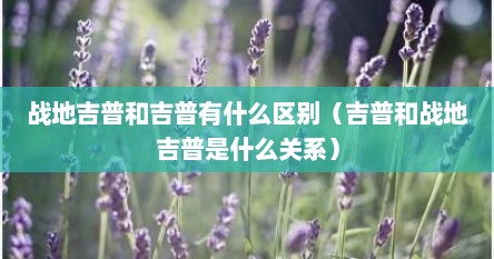 战地吉普和吉普有什么区别(吉普和战地吉普是什么关系)