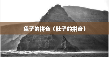 兔子的拼音(肚子的拼音)