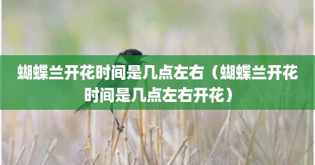 蝴蝶兰开花时间是几点左右(蝴蝶兰开花时间是几点左右开花)