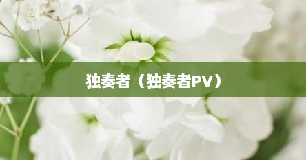 独奏者(独奏者PV)