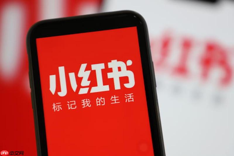 小红书网页版登录入口_小红书官网app官方登录