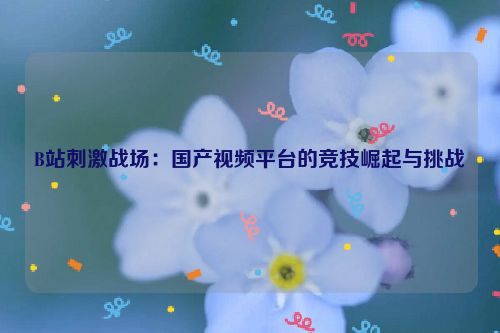B站刺激战场:国产视频平台的竞技崛起与挑战