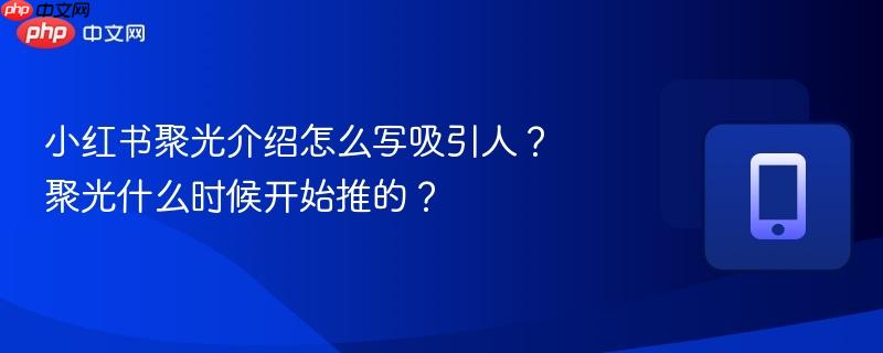 小红书聚光介绍怎么写吸引人?聚光什么时候开始推的?