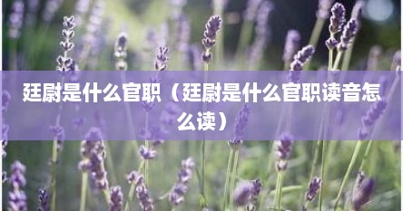 廷尉是什么官职(廷尉是什么官职读音怎么读)