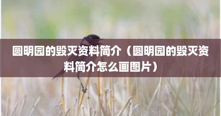 圆明园的毁灭资料简介(圆明园的毁灭资料简介怎么画图片)