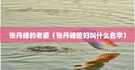 张丹峰的老婆(张丹峰媳妇叫什么名字)
