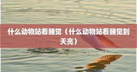 什么动物站着睡觉(什么动物站着睡觉到天亮)