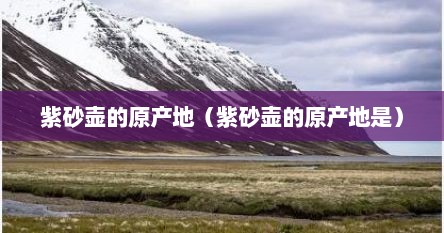 紫砂壶的原产地(紫砂壶的原产地是)