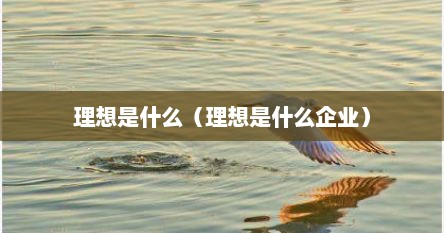 理想是什么(理想是什么企业)