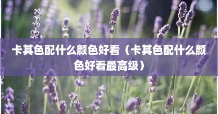 卡其色配什么颜色好看(卡其色配什么颜色好看最高级)