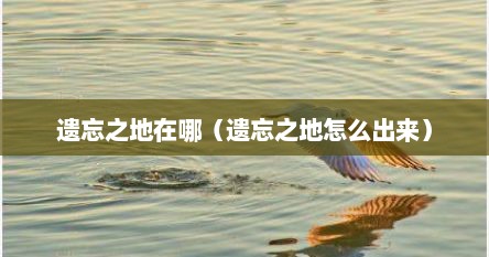 遗忘之地在哪(遗忘之地怎么出来)