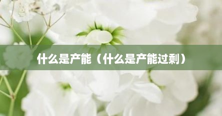 什么是产能(什么是产能过剩)