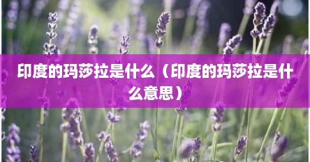 印度的玛莎拉是什么(印度的玛莎拉是什么意思)
