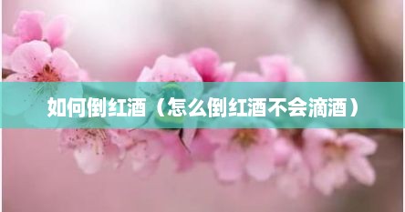 如何倒红酒(怎么倒红酒不会滴酒)