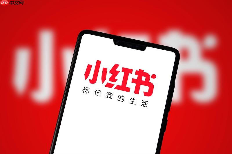 小红书笔记无法分享怎么办 小红书分享功能修复与操作技巧