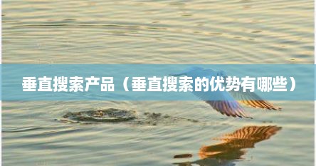 垂直搜索产品(垂直搜索的优势有哪些)