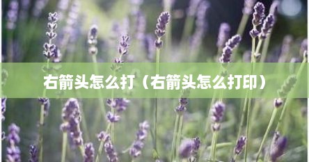 右箭头怎么打(右箭头怎么打印)