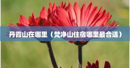 丹霞山在哪里(梵净山住宿哪里最合适)