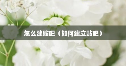 怎么建贴吧(如何建立贴吧)