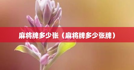 麻将牌多少张（麻将牌多少张牌）