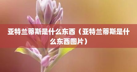 亚特兰蒂斯是什么东西（亚特兰蒂斯是什么东西图片）