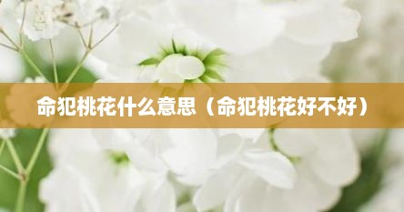 命犯桃花什么意思（命犯桃花好不好）