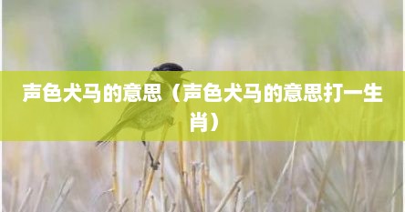 声色犬马的意思（声色犬马的意思打一生肖）