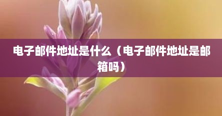 电子邮件地址是什么（电子邮件地址是邮箱吗）